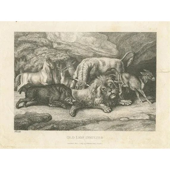 Samuel Howitt, Lion Insulted, Print For Sale - Image 6 of 6