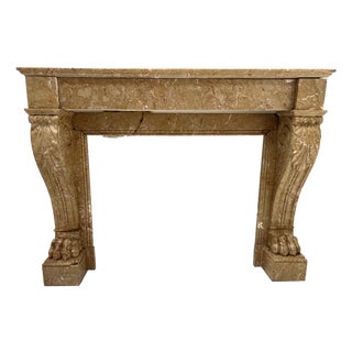 Napoleon III Fireplace with Claw Feet in Speckled Marble, 1800s For Sale