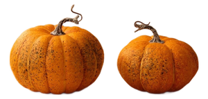 Foam Pumpkin Decor (Set of 2)