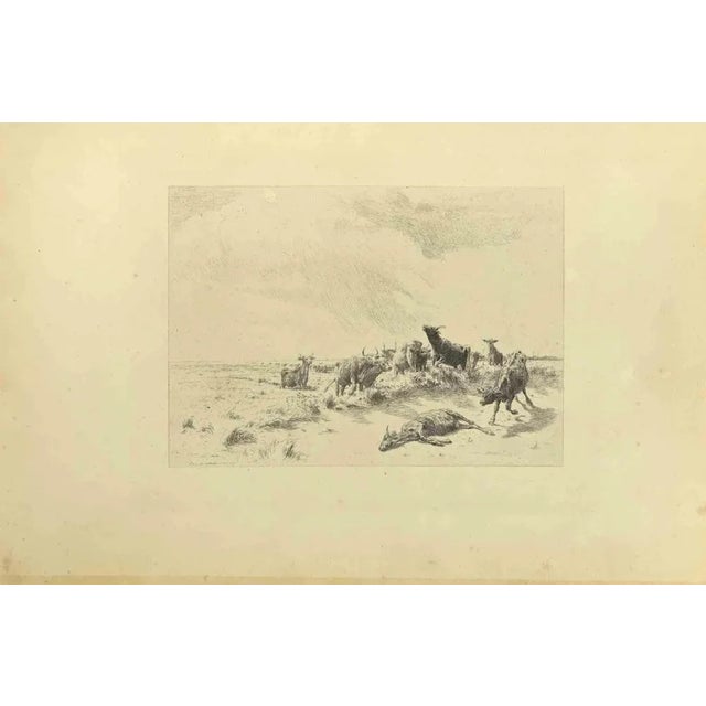 Herd is an original etching realized by Eugène Burnand (1850-1921) in the Late 19th century. Signed on the plate. Good...