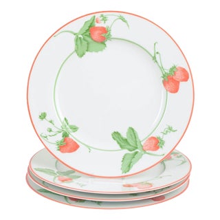 Fraise Series Dinner Plates in Porcelain by Bill Goldsmith for Limoges, 1980s, Set of 4 For Sale