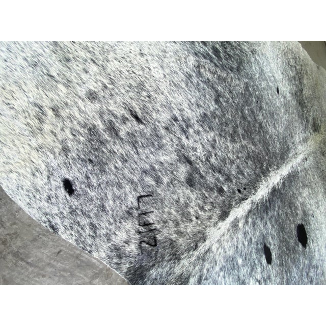Contemporary Early 21st Century Natural Black and White Brazilian Cowhide 8' 4" X 8' For Sale - Image 3 of 5