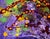 Star Formation - Abstract Expressionist Composition in Acrylic on Canvas by Charles David Francis For Sale In Monterey, CA - Image 6 of 7