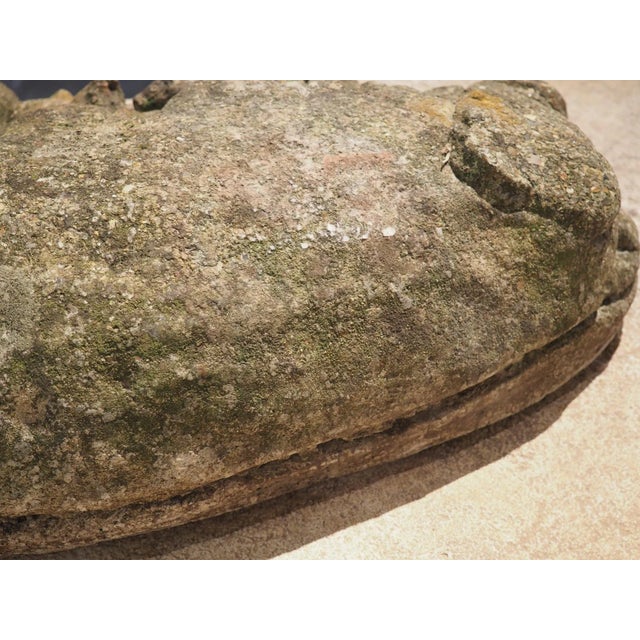 Weathered Cast Stone Pig and Piglets From England, 20th C. For Sale - Image 12 of 13