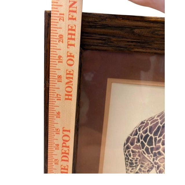 Vintage Evelyn Gross ‘Aisha & Mother’ Brookfield Zoo Chicago Numbered Giraffe Lithograph 60/1000 For Sale - Image 11 of 12