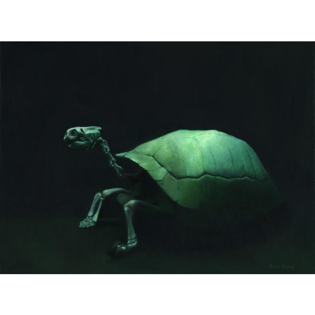 Lonesome George presents a striking depiction of a turtle, rendered in oil on panel with a focus on its skeletal...