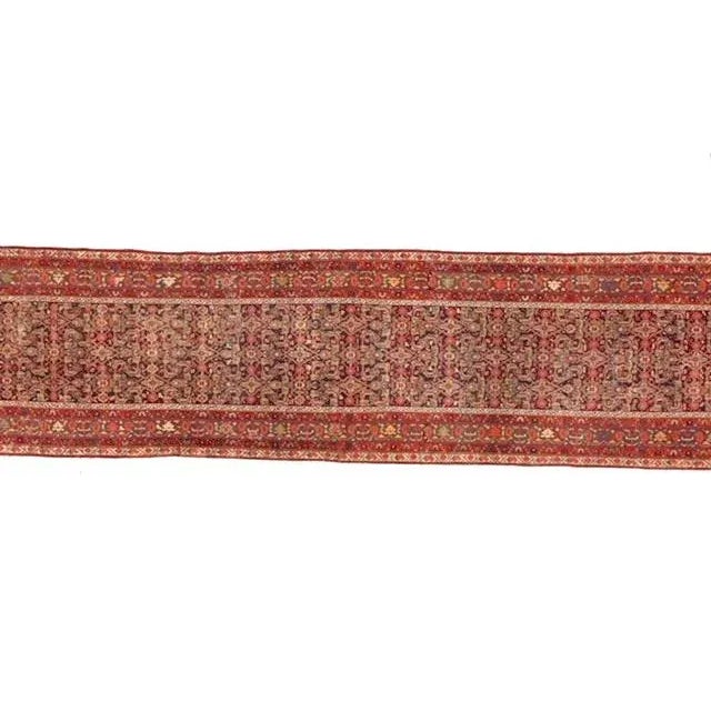 1900 - 1909 1900s Persian Ferahan Runner 3'2" X 17'2" For Sale - Image 5 of 13