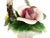 Mid 20th Century Mid 20th Century Nuona Capodimonte Flower Basket Art For Sale - Image 5 of 10