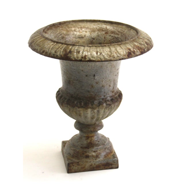 Silver Small Vintage French Cast Iron Urn Planter, 1920s For Sale - Image 8 of 8