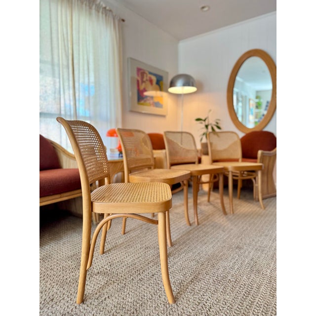 Mid-Century Modern Set of Four Iconic Cane Bentwood Chairs Designed by Josef Hoffmann, Model No. 811, and Produced by Fmg, Circa 1960s. For Sale - Image 3 of 12