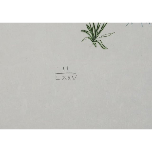 Salvador Dali, Nude, Under the Umbrella Pine, 1970, Engraving For Sale - Image 5 of 7