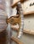 Mid 20th Century Set of 4 Neoclassical Style Dining Chairs For Sale - Image 9 of 17