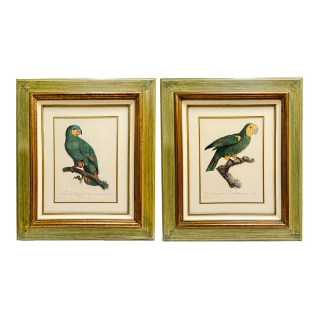 1950s Framed French Ornithological Parrot Lithographs After Jacques Barraband - A Pair For Sale