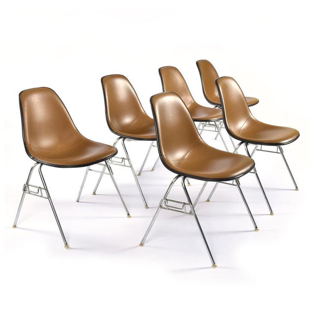 Stacking Shell Chairs with Brown Naugahyde Pads by Herman Miller for Eames, Set of 6 For Sale - Image 18 of 18