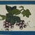 Set of Nine Antique Chinese Botanical Fruit Paintings on Pith Paper For Sale - Image 11 of 18