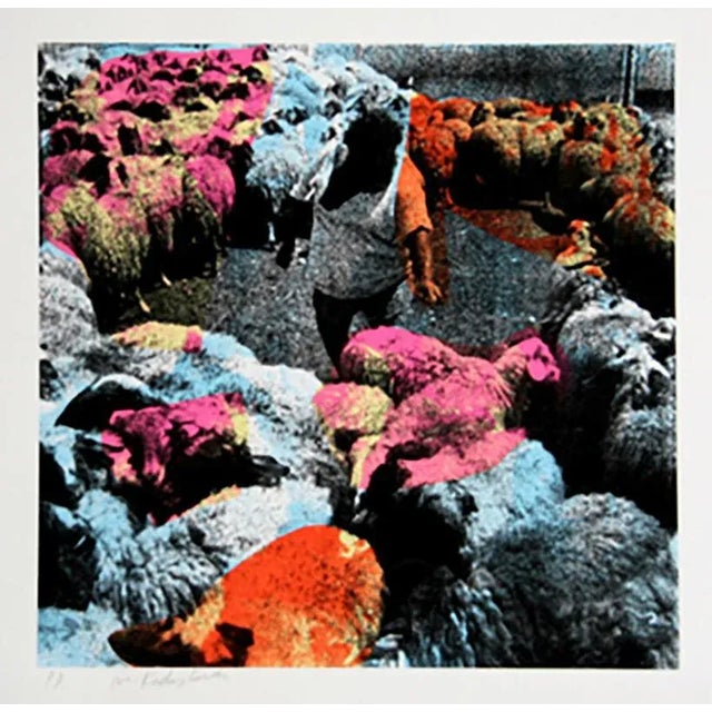 Menashe Kadishman, Circle of Sheep, Serigraph For Sale - Image 4 of 4