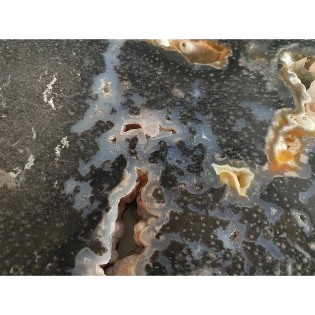 Andrianna Shamaris Rare Palm Petrified Wood Slab For Sale - Image 14 of 18