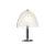Glass Decorative Table Lamp from Peill & Putzler For Sale