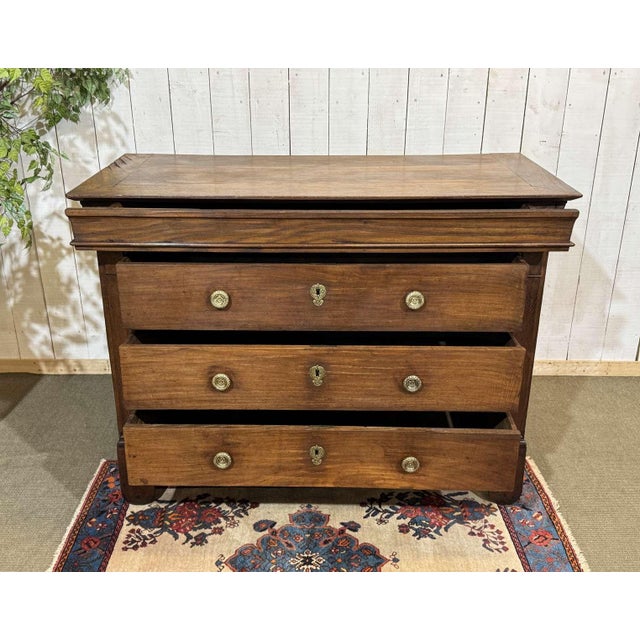19th Century Restoration Chest of Drawers in Chestnut For Sale - Image 10 of 16