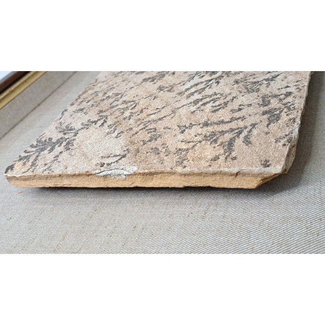 Large 1970s Manganese Oxide Dendrite Slab on Gypsum Matted Framed Rare For Sale - Image 4 of 12