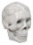 20th Century Marble Carved Decorative Skull Ornament For Sale