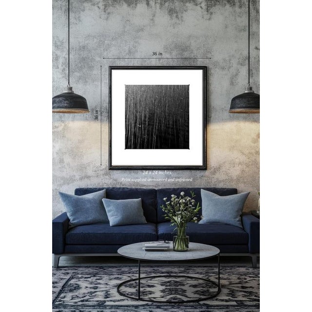 Fine art Giclee prints on Hahnemuhle Photo Rag 308gsm - a 100% cotton, acid-free, mould-made paper. Printed to Fine Art...