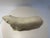 Late 20th Century Art Deco Cast Resin White Polar Bear Sculpture After Francois Pompon For Sale - Image 5 of 9