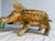 Up for sale is a large 23-inch long vintage handmade German Steiff boar stuffed animal named Dalle. This large stuffed...