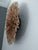 Juju hat beige of 27" (70 cm). Juju hat made with natural feathers and rattan. Juju hat woven and handcrafted. Beautiful...