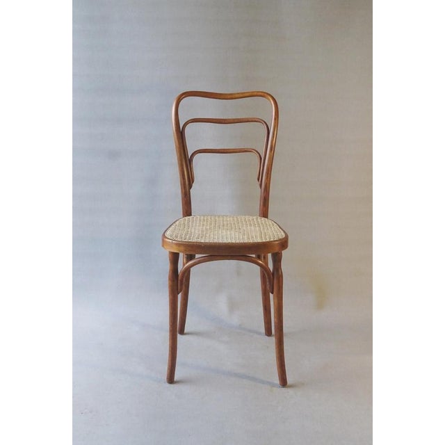 1910s Curved Wooden No. 248 A Chair from J & J Kohn, 1910 For Sale - Image 5 of 11