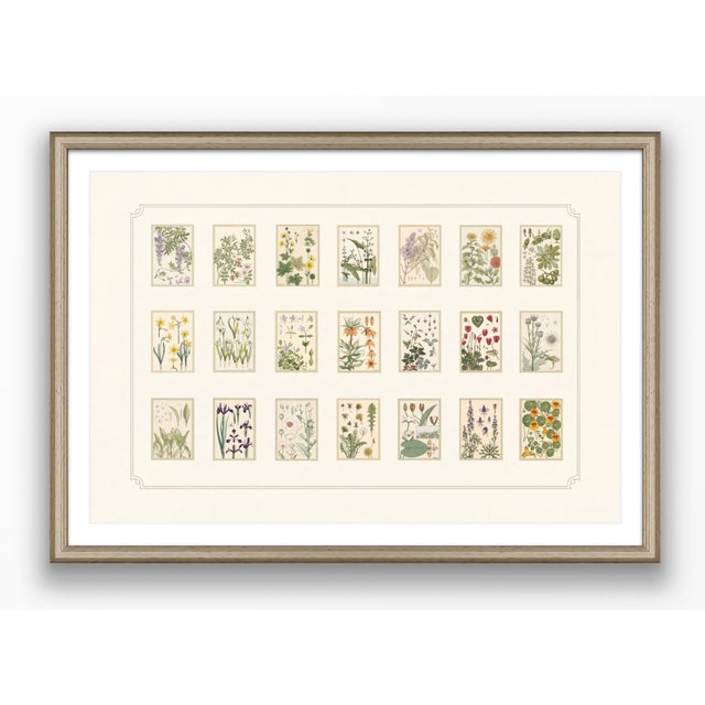 Atelier Aria Lumae Eugene Grasset Maurice Pillard Verneuil Art Nouveau Botanical Specimen Grid Board Print 60 X 40 For Sale - Image 17 of 17