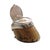 Antique equestrian horse hoof inkwell mounted with a silver collar and hinged lid, stamped “Duke.” Crafted in the...