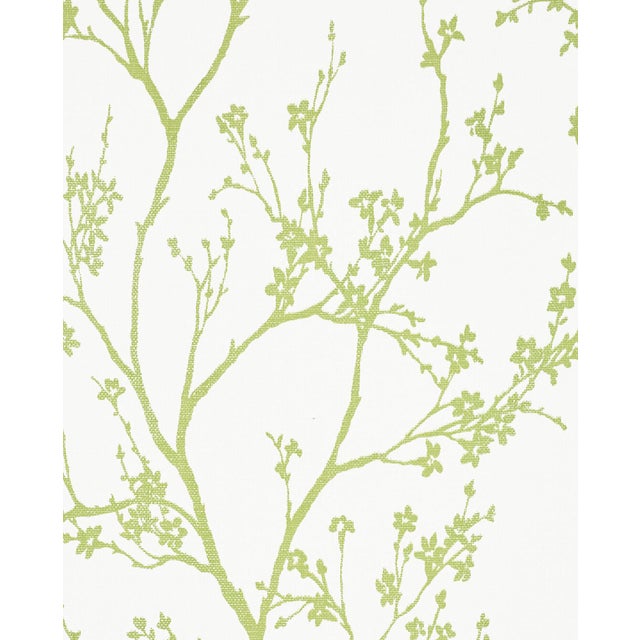 Contemporary Sample - Schumacher Twiggy Paperweave Wallpaper in Leaf For Sale - Image 3 of 3