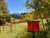 Gusty (plein air Golden Gate Canyon SP) by Tracy Wall | Oil on Canvas Landscape with trees and hills For Sale - Image 4 of 4