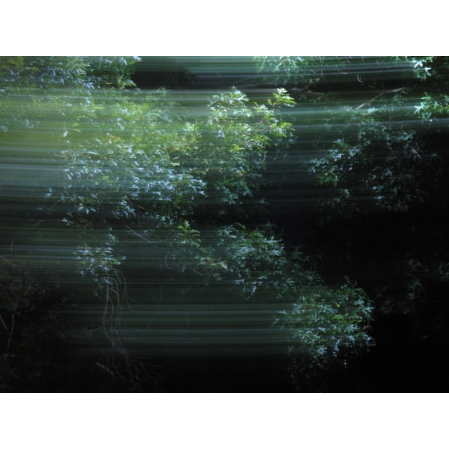 Contemporary Abstract Photographic Color Print For Sale