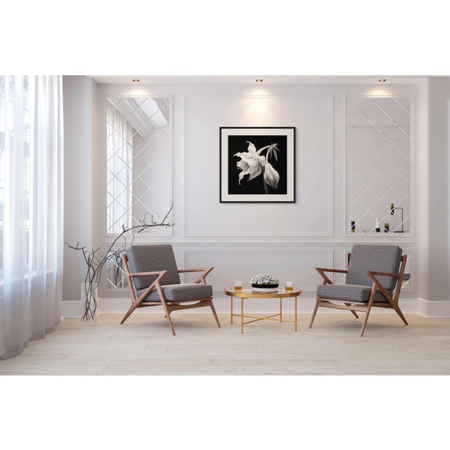 Contemporary 30' X 30' - 'Brugmansia Flower' #1 - Black and White Botanical Photography Print, Unframed For Sale - Image 3 of 3