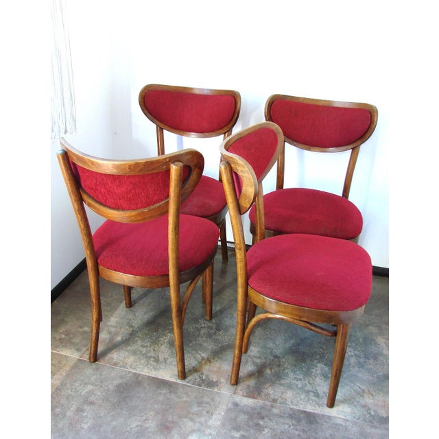 Red Vintage Chairs from Thonet, 1960s, Set of 4 For Sale - Image 8 of 10