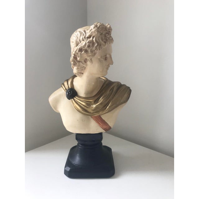 Painted Greek Figurine Apollo Bust For Sale - Image 4 of 10
