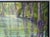 2020s Nancy Paris Pruden "Cypress Creek" Contemporary Naturalistic River Landscape Nature Painting, 2020s For Sale - Image 5 of 10