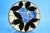 Vintage Ceramic Plates by La Spiga Roma, 1930s, Set of 2 For Sale - Image 13 of 18