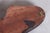 Vintage African Wall Decor in Lacquered Ebony, 1920s For Sale - Image 8 of 9
