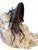 Japanese Articulate Bronze Grasshopper Jizai Okimono Myochin Linage Signed For Sale - Image 10 of 16