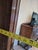 Antique Oak Corner Curio Cabinet For Sale - Image 10 of 13