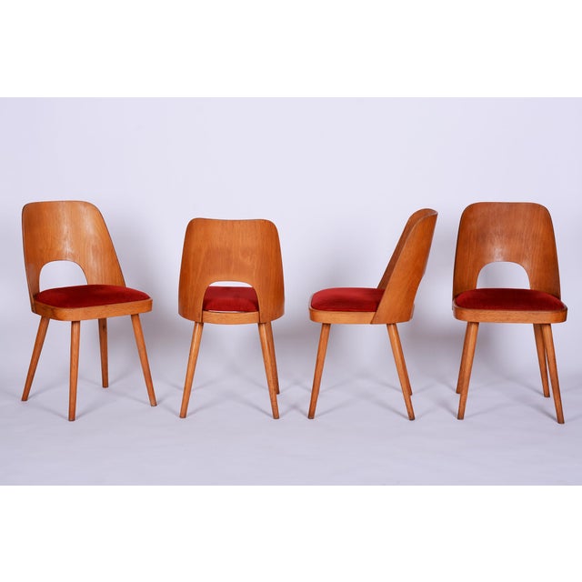 Mid-Century Beech Chairs by O. Haerdtl, Czech, 1950s, Set of 4 For Sale - Image 18 of 18