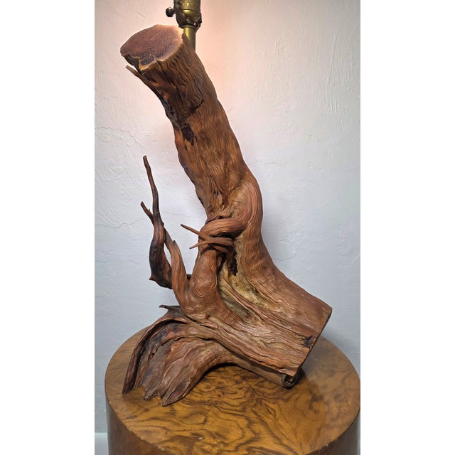 Vintage Driftwood MCM Wood Table Lamp For Sale - Image 11 of 12