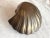 Metal 1970s Brass Clam Shell Door Knocker For Sale - Image 7 of 15