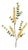 Yellow Berry Foliage Spray (Set of 6) For Sale