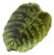 Antique Fern Majolica Dish Platter from Sarreguemines, 1890 For Sale
