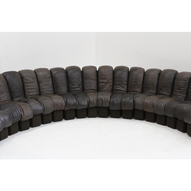 Vintage DS-600 Non Stop Snake Sofa from de Sede, 1970s, Set of 22 For Sale - Image 4 of 14