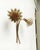 Mid-Century Italian Metal Sunflower Wall Lamp, 1960s For Sale - Image 16 of 18